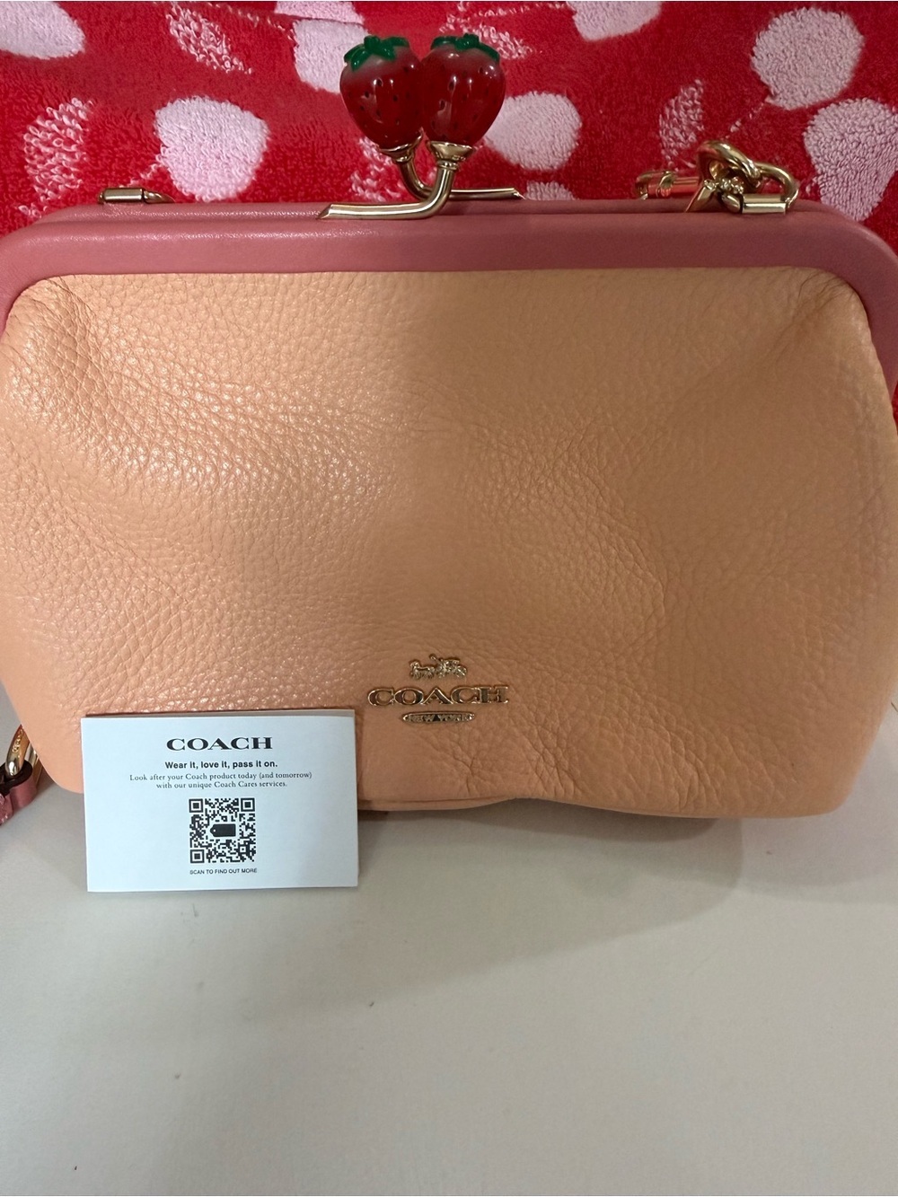 Coach Nora Kisslock Crossbody Bag Faded Blush Pink Strawberry C8288 NWOT